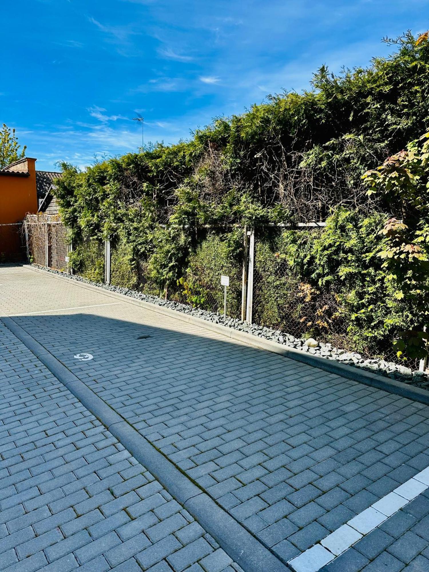 Dolce Apartment Palanga